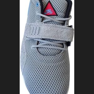 Nike SB Trainerendor Shoe